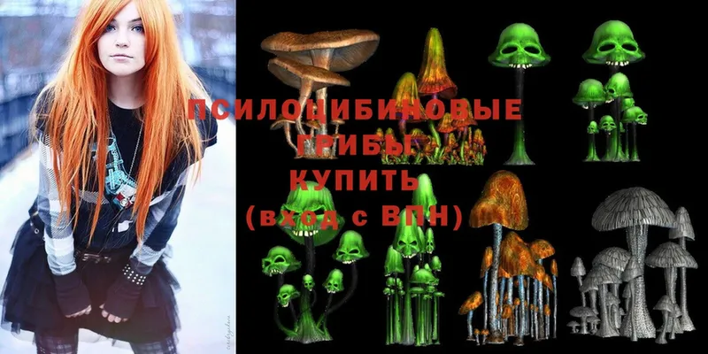 как найти закладки  мориарти как зайти  Псилоцибиновые грибы Psilocybe  Дмитровск 